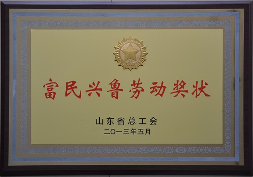 2013年8月，公司获得山东省总工会授予“富民兴鲁劳动奖状”称号。